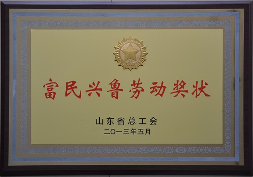 2013年8月，公司获得山东省总工会授予“富民兴鲁劳动奖状”称号。